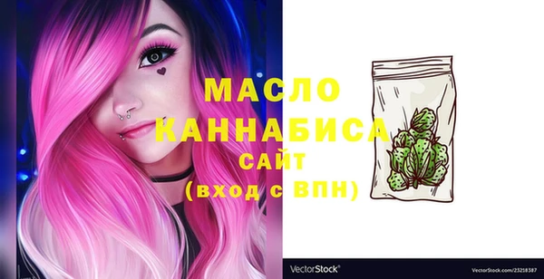 хмурый Аркадак