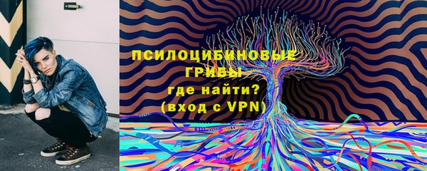 прущая мука Арсеньев