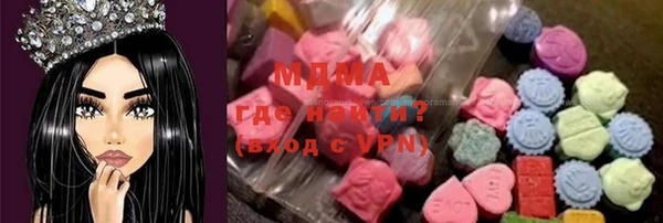 хмурый Аркадак