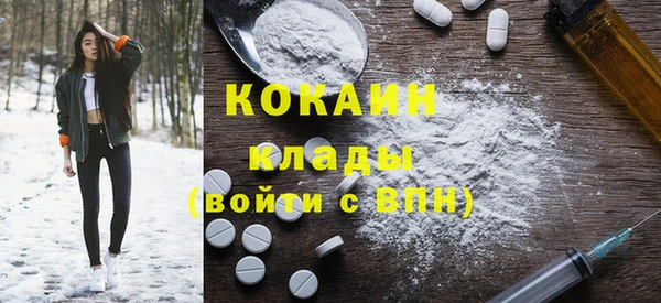 хмурый Аркадак