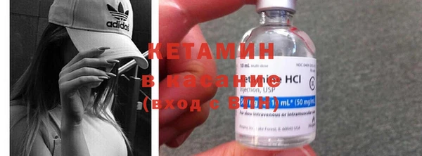 хмурый Аркадак