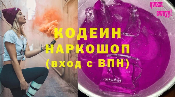 хмурый Аркадак