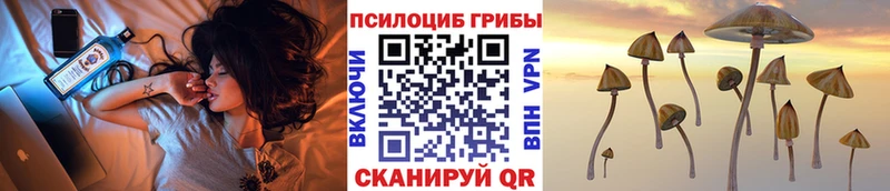 Галлюциногенные грибы мицелий  наркошоп  Гремячинск 